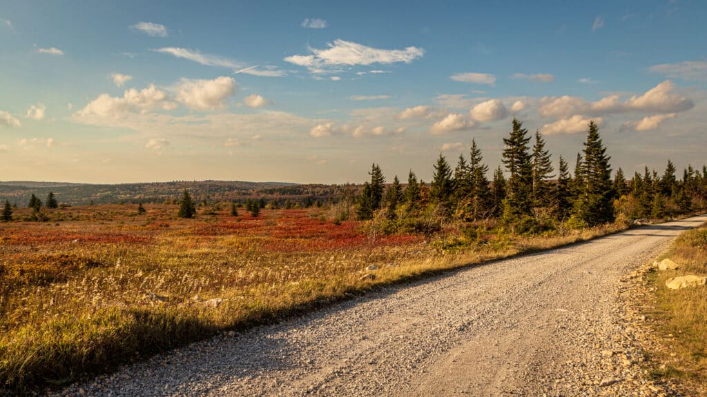 Dolly Sods Overlanding